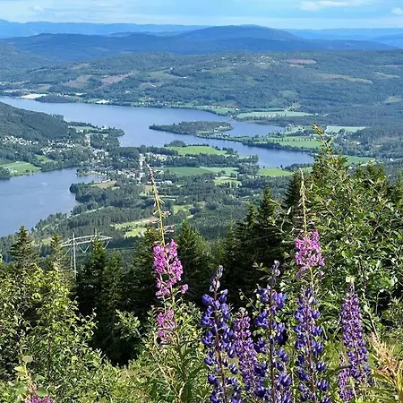 « sofly Cottage », Le Charme Pur Alpstuga *